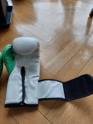 Guantes de boxeo Leone blancos y verdes + funda or