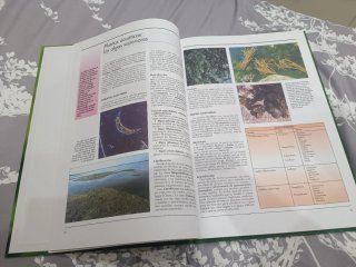 ​Libro Atlas de Botánica: El mundo de las plantas