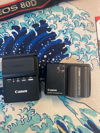 Pacchetto Fotocamere Canon EOS 80D e 300D con borsa retrò