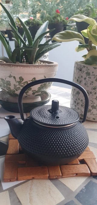 Tetera de hierro fundido negra