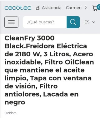 Freidora eléctrica negra