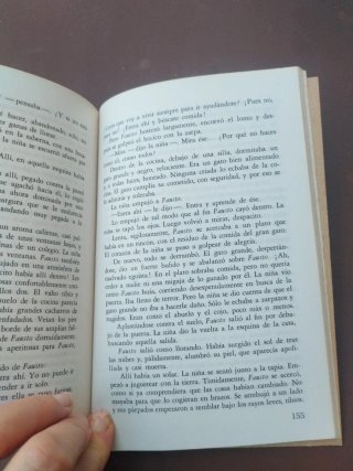 Algunos muchachos y otros cuentos