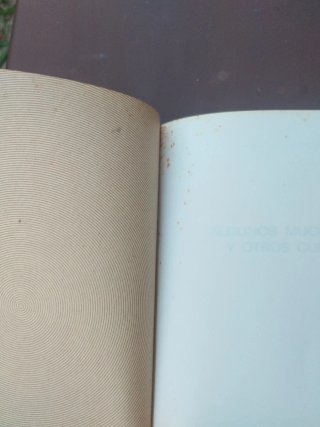 Algunos muchachos y otros cuentos