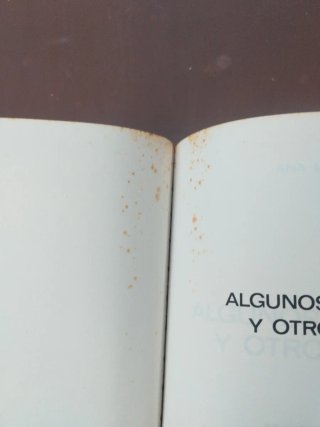 Algunos muchachos y otros cuentos