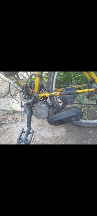 Bicicleta Orbea Clásica con Motor de Gasolina