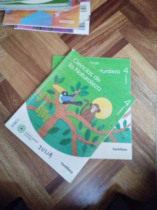 Libros 4° curso primaría.