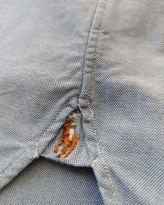 Camisa Polo Ralph Lauren Oxford Manga Larga - M
