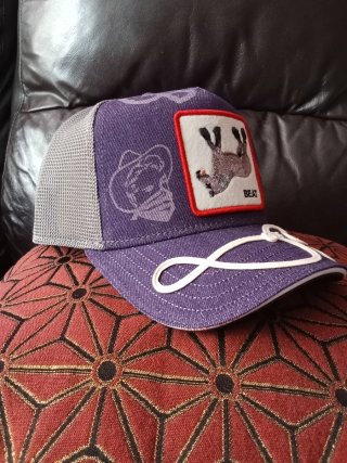Gorra Goorin Bros Azul y Gris Talla única adulto