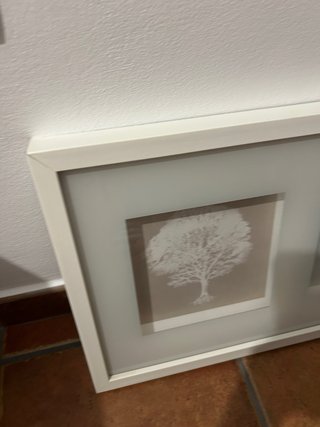 Marco Fotos 3 Árboles Blanco Madera Cristal