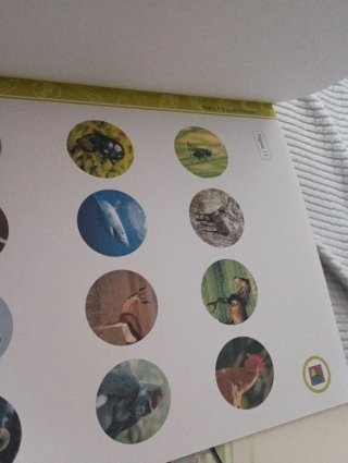 Siete cuadernos educación infantil entorno