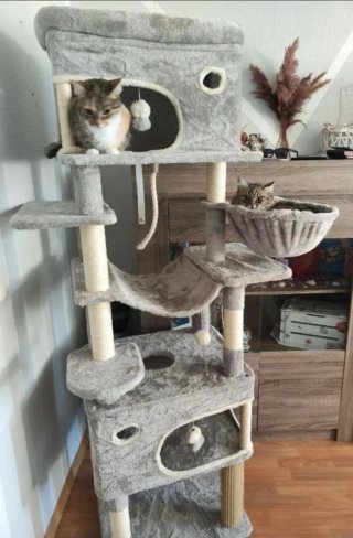 Rascador para gatos