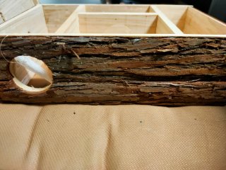Casetta rifugio legno criceto hamster nuova