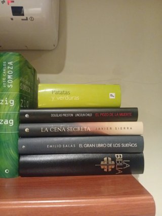 Libros Lote 15  variados