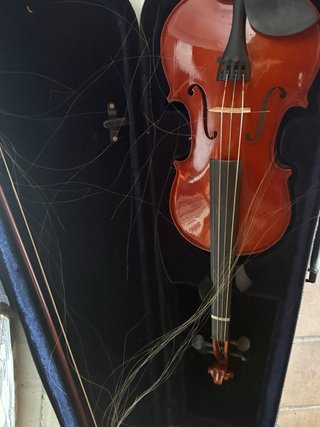 Violín con funda
