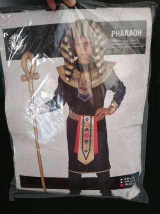 Disfraz Faraón niño