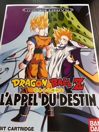 Poster Dragon Ball Z L'Appel Du Destin Mega Drive