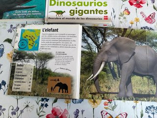 Lote 3 Libros Infantiles Gigantes SM