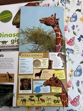 Lote 3 Libros Infantiles Gigantes SM