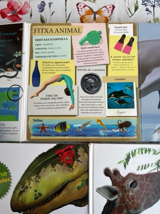 Lote 3 Libros Infantiles Gigantes SM
