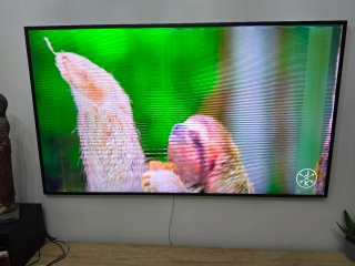 Samsung The Frame 55 QE55LS03A (averia)
