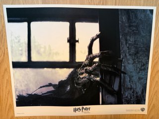Colección 12 Láminas Harry Potter Oficiales