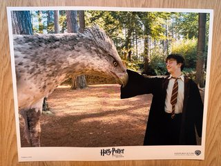Colección 12 Láminas Harry Potter Oficiales