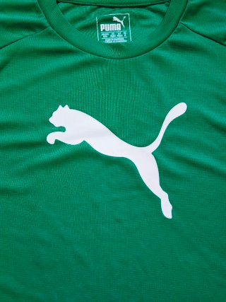 Maglietta Puma Uomo Verde smeraldo Tecnica M
