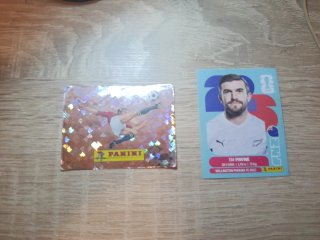 Cromos Panini Tim Payne y Panini 00