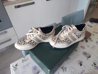 Sneakers Geox Beige/Oro