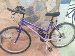 Bicicleta Morada Montaña