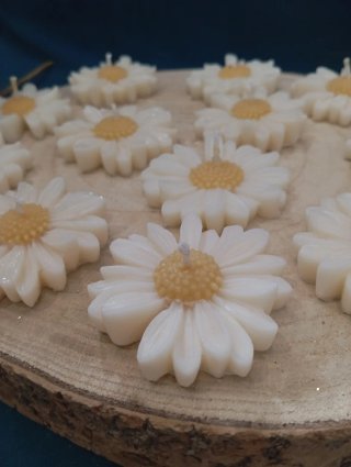 Segnaposto candele a forma di margherita