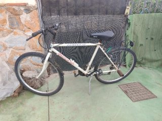 Bicicleta Megamo Llanc