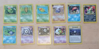 Lote Cartas Pokémon Bulk varios sets