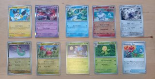 Lote Cartas Pokémon Bulk varios sets