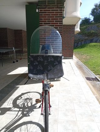 Bicicleta Clásica GAC con silla infantil