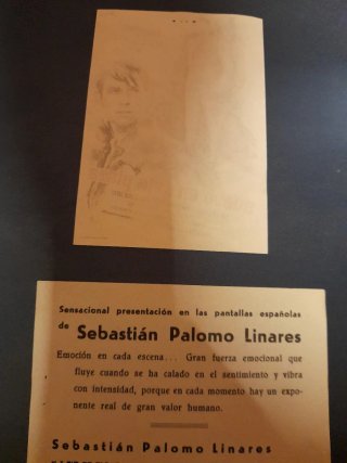 Programa de mano cine Sebastián Palomo Linares