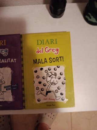 Diari del Greg. Mala sort!