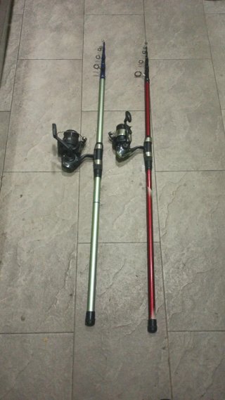 2 Cañas de Pescar con Carretes