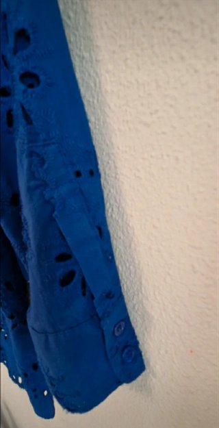 Blusa Zara azul bordada