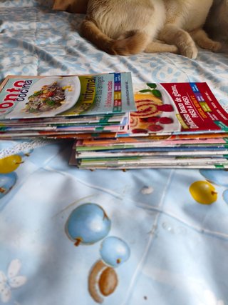 Revista Pronto recetas