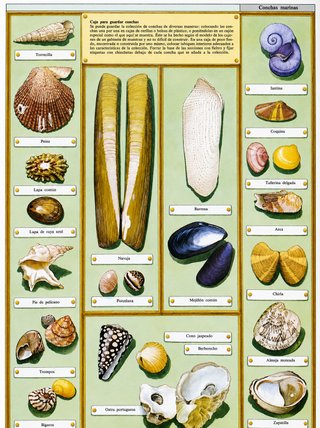 ENCICLOPEDIA COMPLETA "NATURALEZA" ED. BLUME