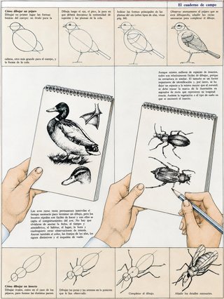 ENCICLOPEDIA COMPLETA "NATURALEZA" ED. BLUME