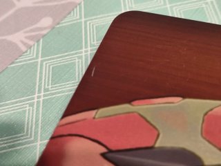 Pokémon Rubí Omega + steelbook 🇪🇸
