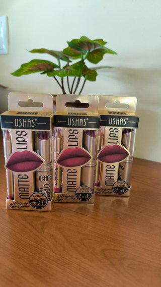 Set Labial + Delineador USHAS Mate 2 EN 1 - NUEVO
