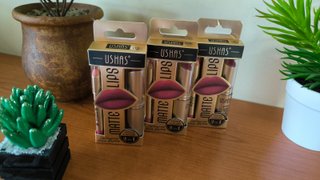 Set Labial + Delineador USHAS Mate 2 EN 1 - NUEVO