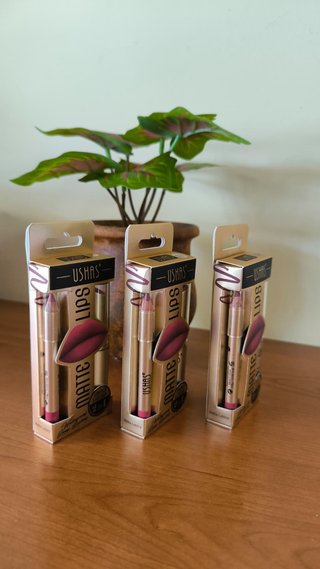 Set Labial + Delineador USHAS Mate 2 EN 1 - NUEVO