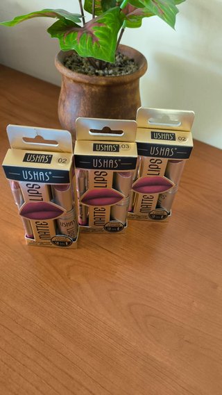 Set Labial + Delineador USHAS Mate 2 EN 1 - NUEVO