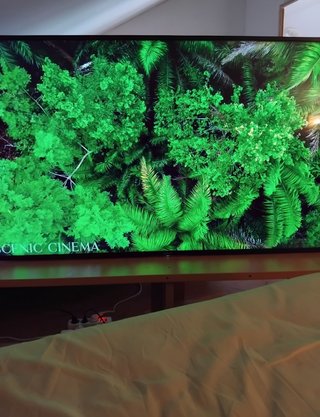 TV Sony Bravia 55", 2 mesas de madera y carbonera.