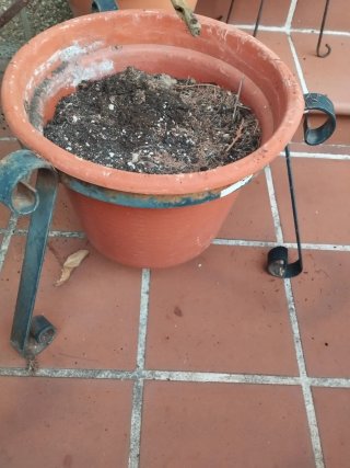 Maceta de barro con soporte metálico