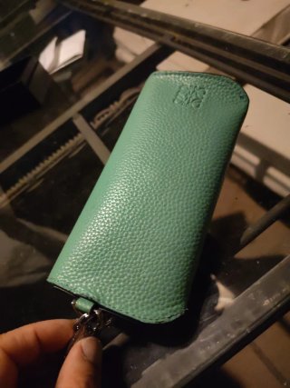 Funda Gafas Loewe Verde